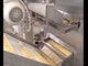 TP 200/300 - Pasta Extruder