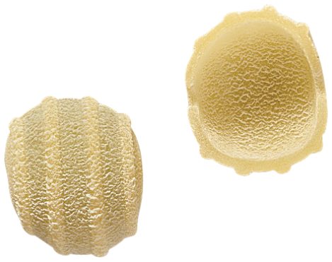 Orecchiette 18mm, die 182TT