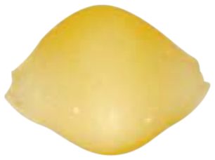 Shells 23mm, die 220